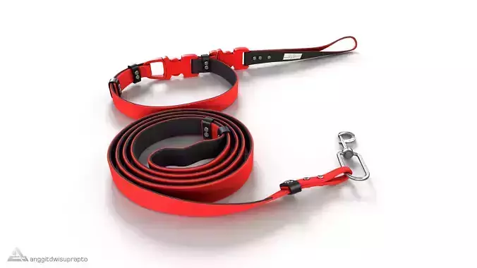 Animal accessories Pet Collar and Leash Set