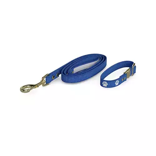Animal accessories Pet Collar and Leash Set 3D model