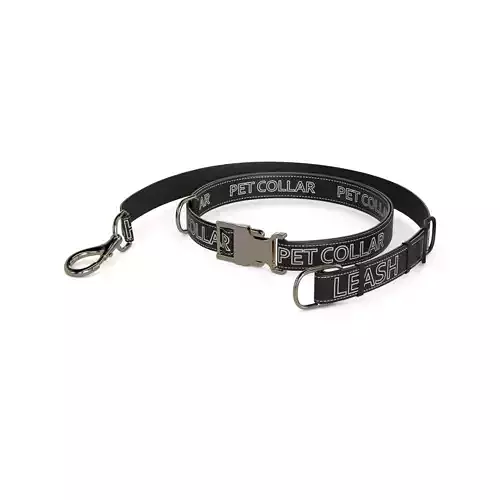 Animal accessories Pet Collar and Leash Set Low-poly 3D model