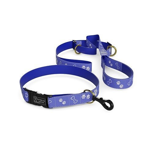 Animal accessories Pet Collar and Leash Set 3D model