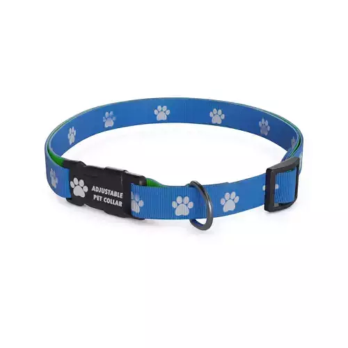 Pet accessories Pet Collar