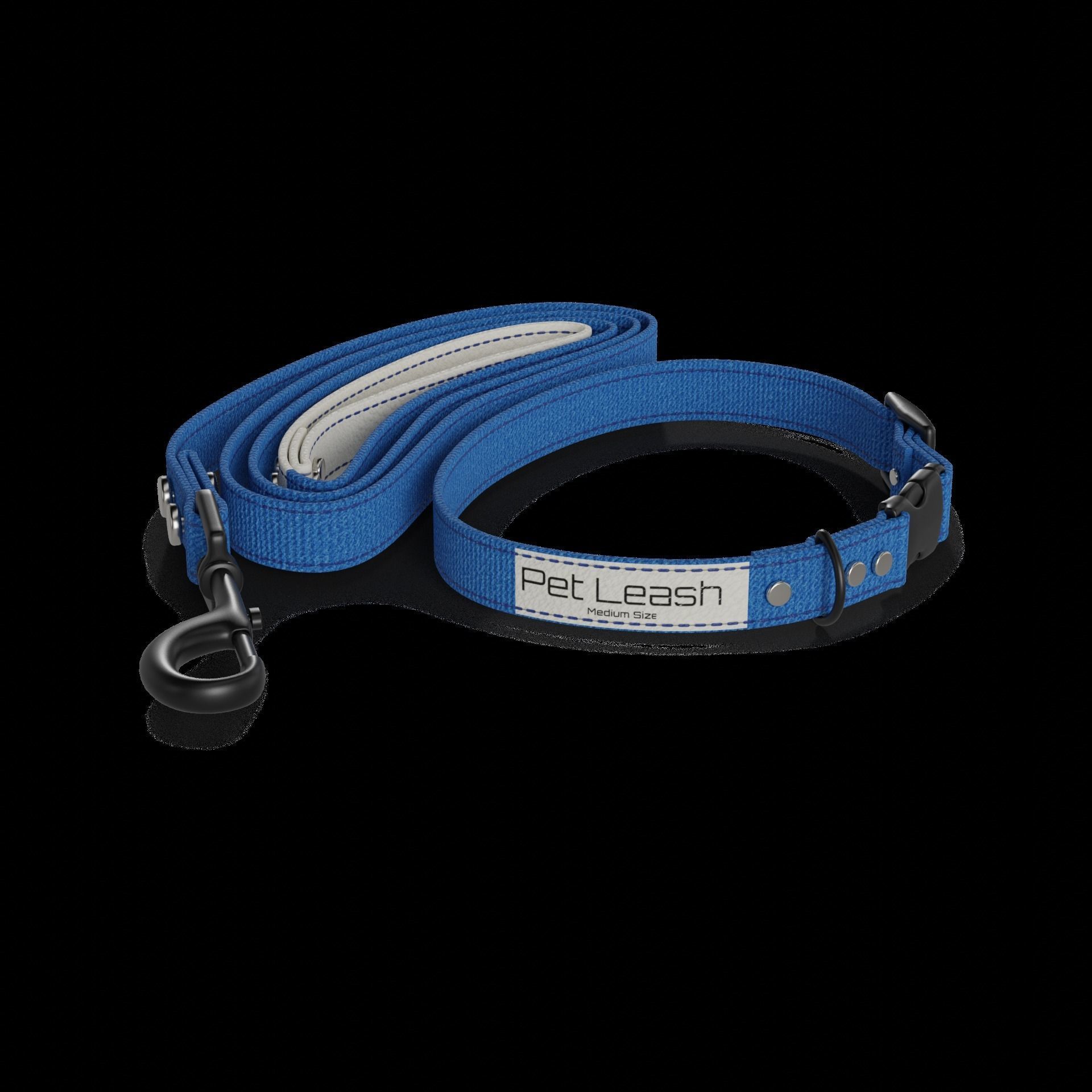 Pet accessories Pet Collar and Leash Set 3D model_1