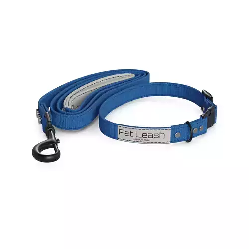 Pet accessories Pet Collar and Leash Set 3D model