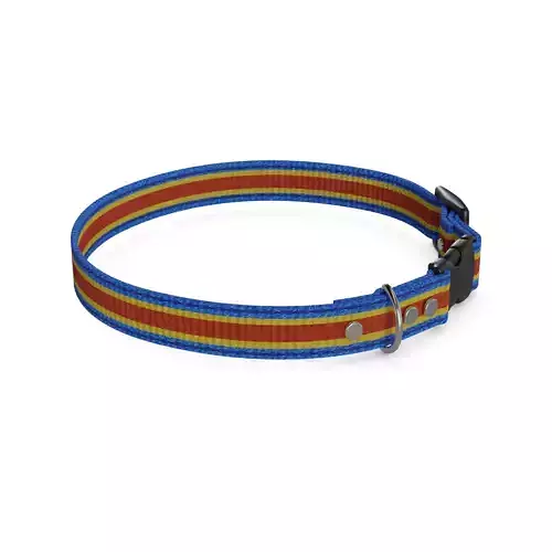 Pet accessories Pet Collar