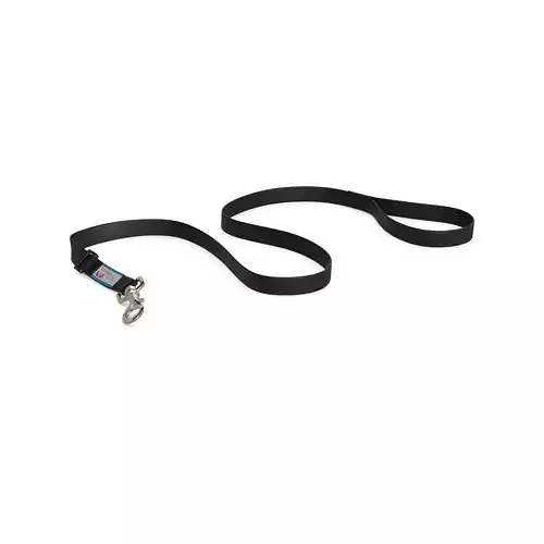 Pet accessories Pet Leash 3D model
