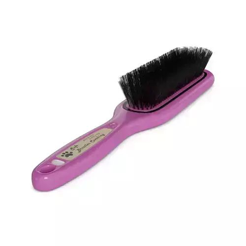 Pet accessories Pet Grooming Brush 3D model