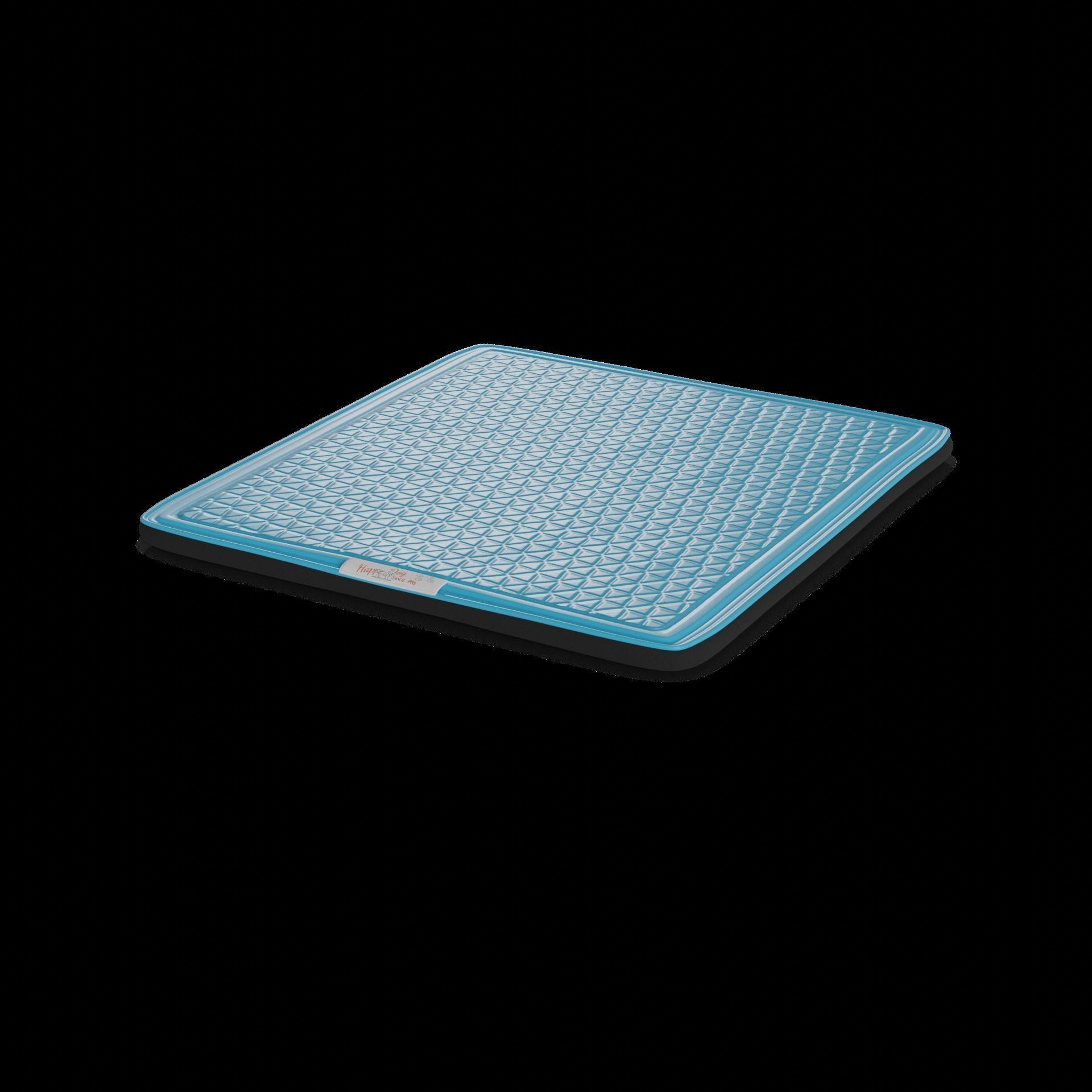 Pet accessories Pet Training Pads Low-poly 3D model_1