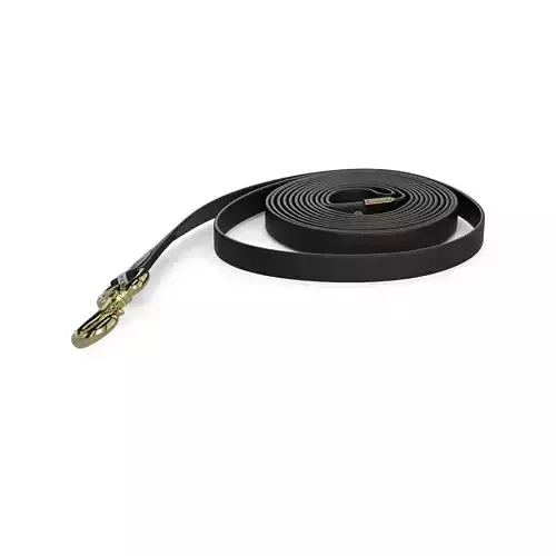 Pet accessories Pet Leash 3D model