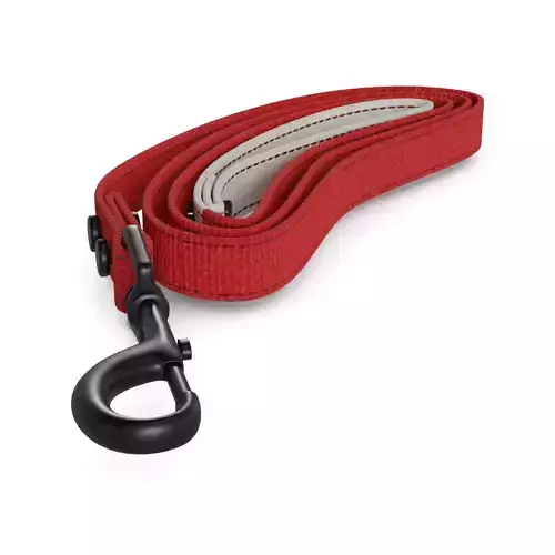 Pet accessories Dog Leash