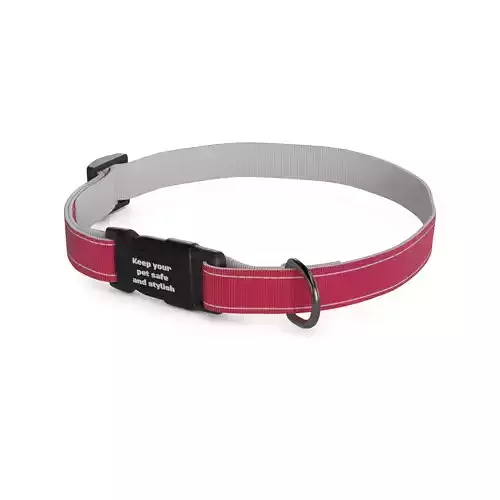 Pet accessories Pet Collar
