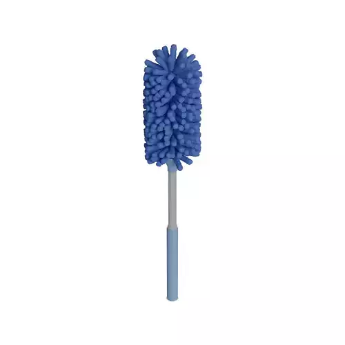 Brooms mops and window squeegees Extendable Duster