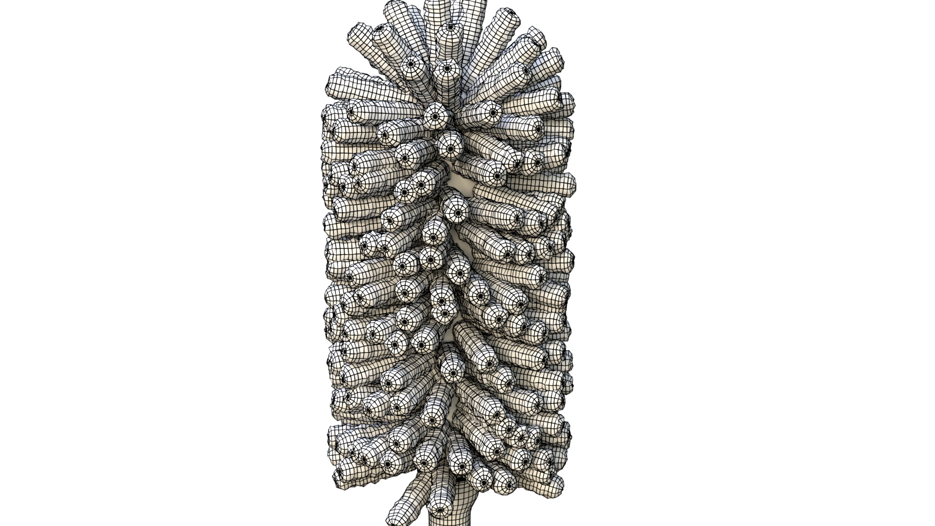 Brooms mops and window squeegees Extendable Duster 3D model_8