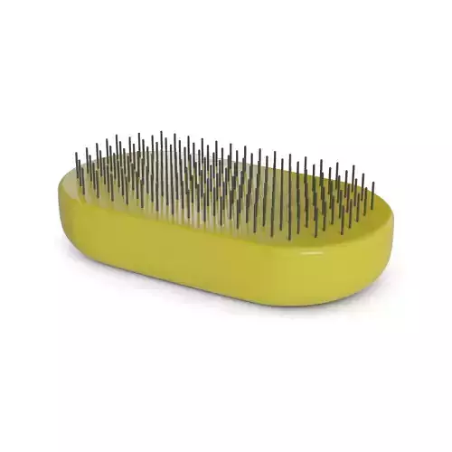 Combs and brushes Wet Brush 3D model