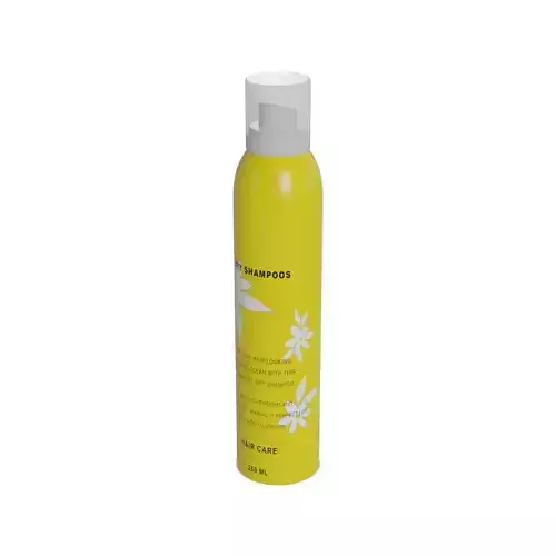 Dry shampoos Dry Shampoo