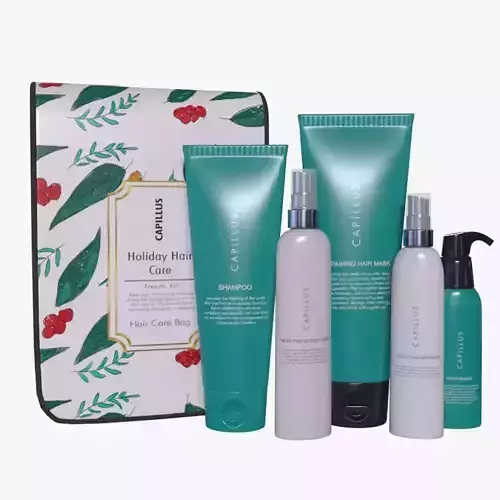 Cosmetic kits Holiday Hair Care Kit
