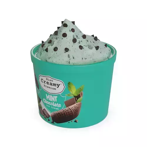 Ice cream tubs Mint Chocolate Chip Ice Cream Tub