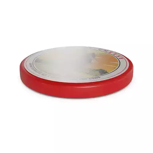 Hard cheese Gouda Cheese