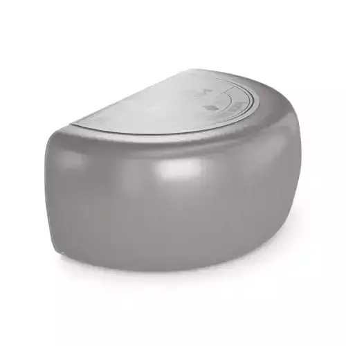 Hard cheese Pecorino Romano Cheese