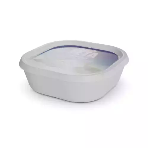 Feta and brinza cheese Feta Cheese