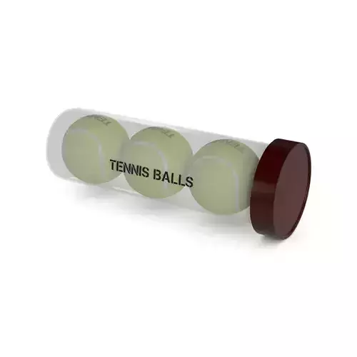Sports products Tennis Balls