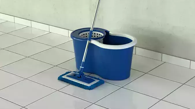 Sponge Mop with Bucket