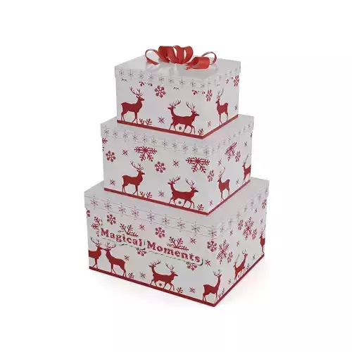 Gift Packaging Holiday Gift Box Set 3D model