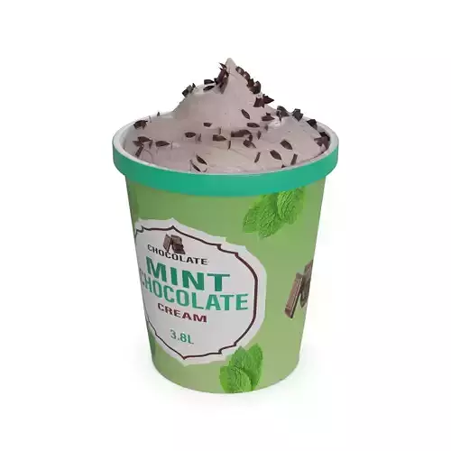 Ice cream tubs Mint Chocolate Chip Ice Cream Tub
