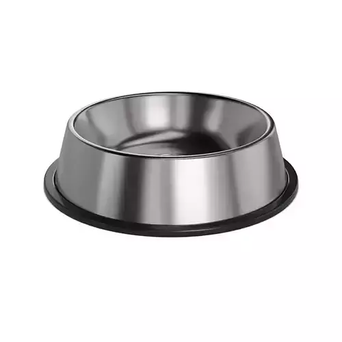 Pet accessories Pet Food Bowl Low-poly 3D model