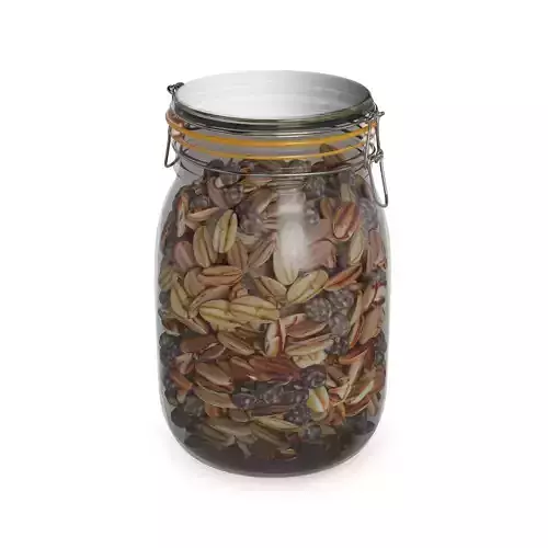 Granola Crunchy Granola Clusters 3D model