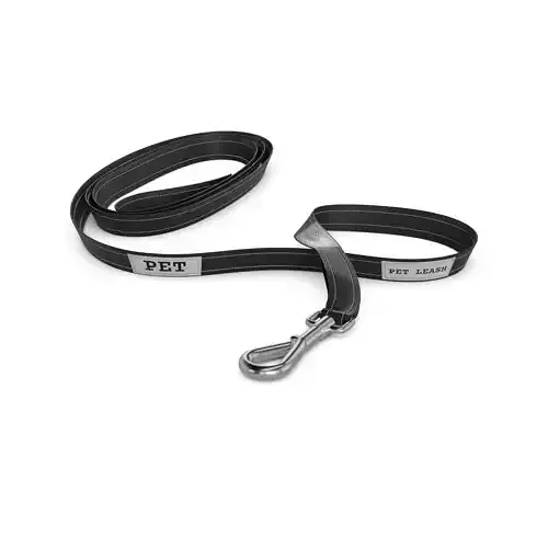 Animal accessories Pet Leash 3D model