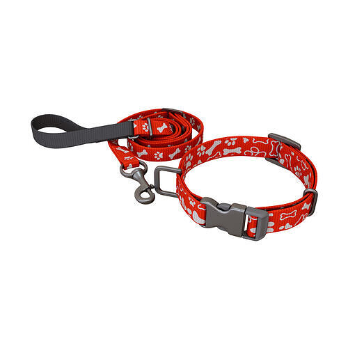 Animal accessories Pet Collar and Leash Set 3D model