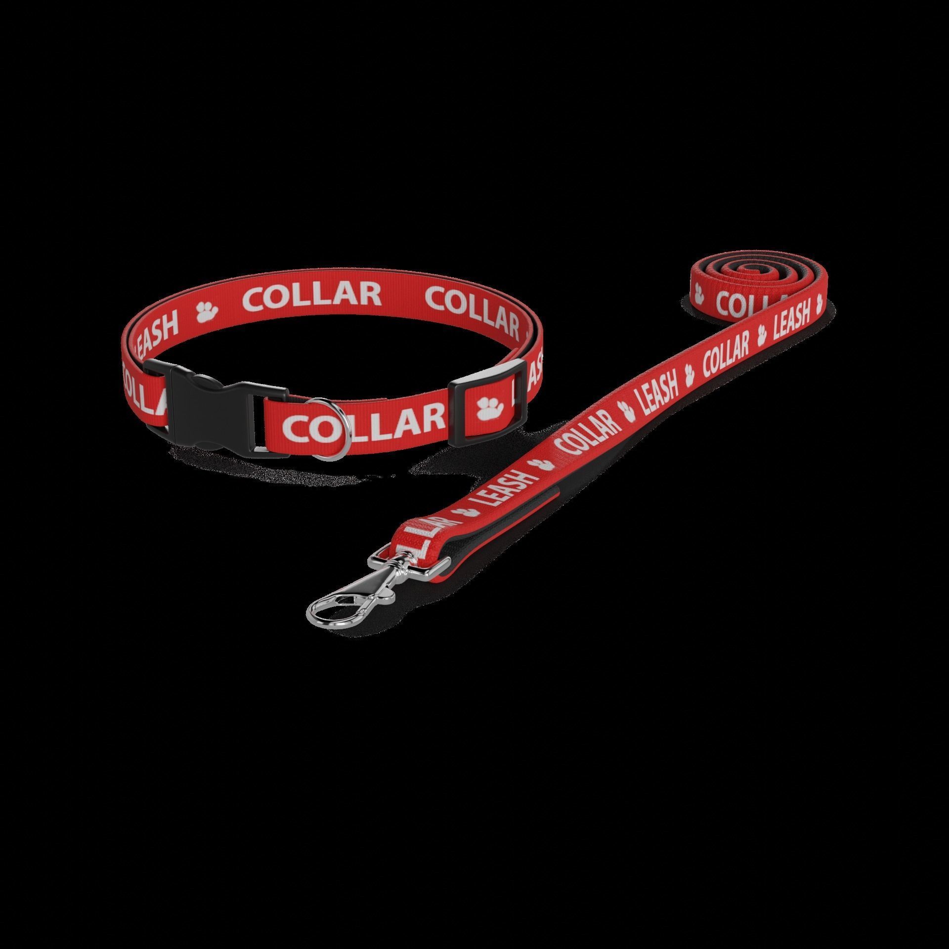 Animal accessories Pet Collar and Leash Set 3D model_1