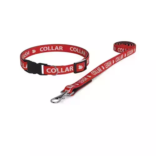 Animal accessories Pet Collar and Leash Set 3D model
