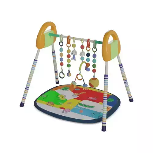 Other toys Baby Gym