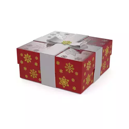 Gift Packaging Christmas Gift Box