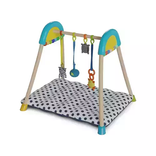 Other toys Baby Activity Gym