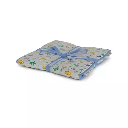 Other baby care products Baby Blanket