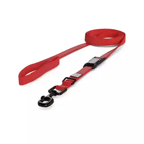 Pet accessories Dog Leash