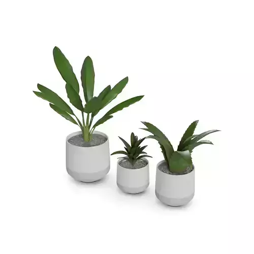 Home decorations Artificial plants
