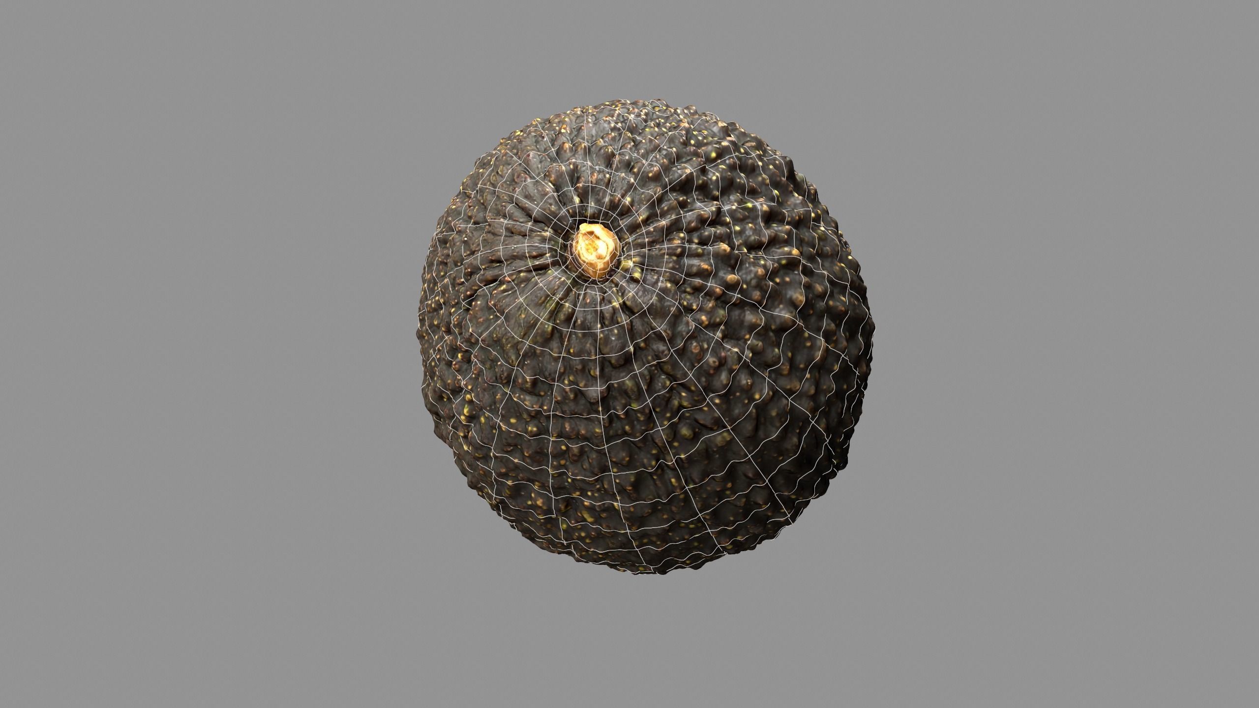 Avocado - Photorealistic Scan  Low-poly 3D model_11