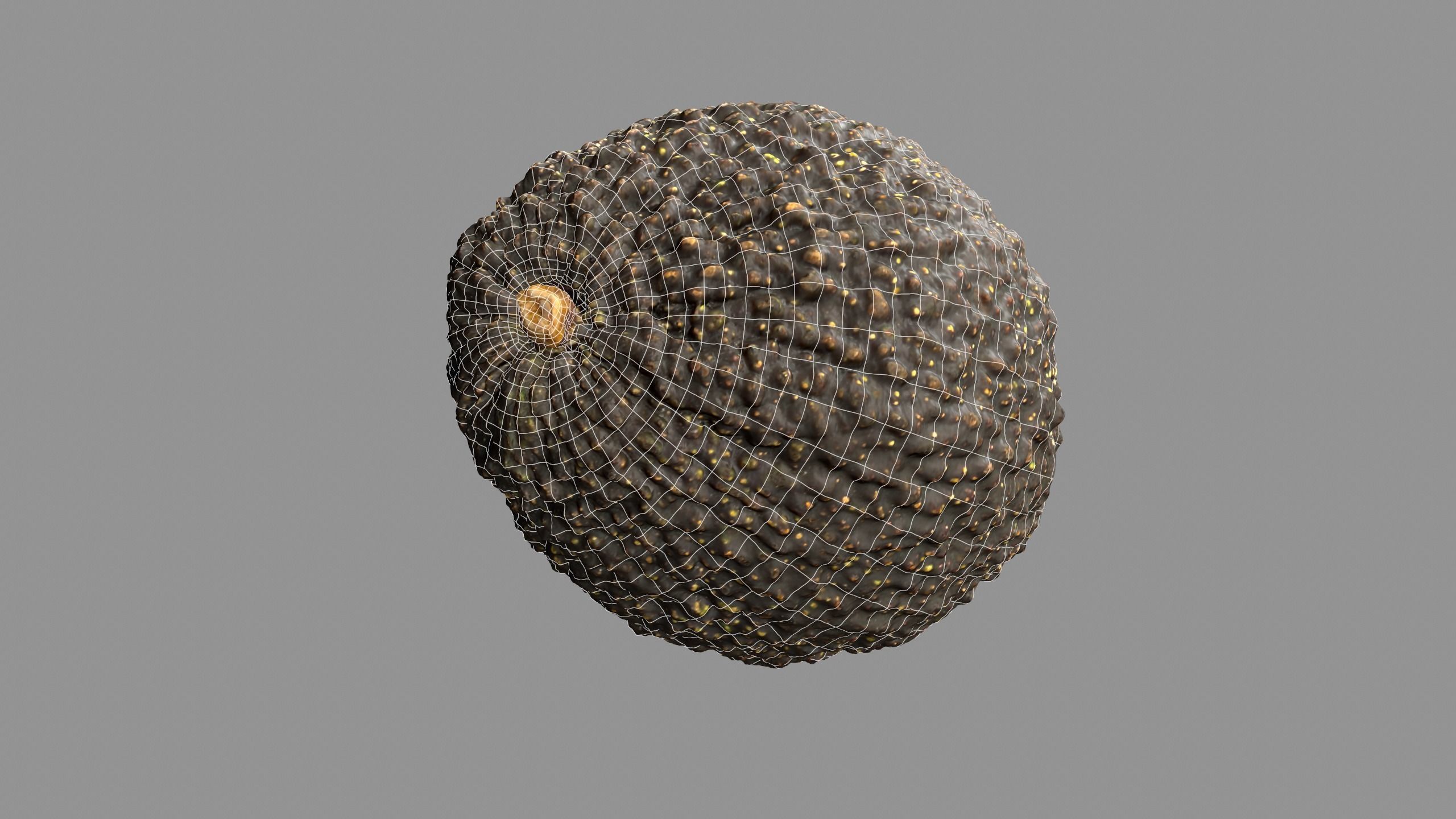 Avocado - Photorealistic Scan  Low-poly 3D model_14