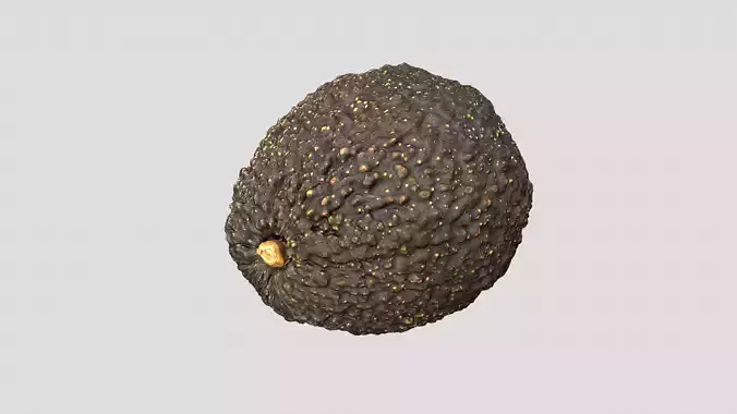Avocado - Photorealistic Scan 