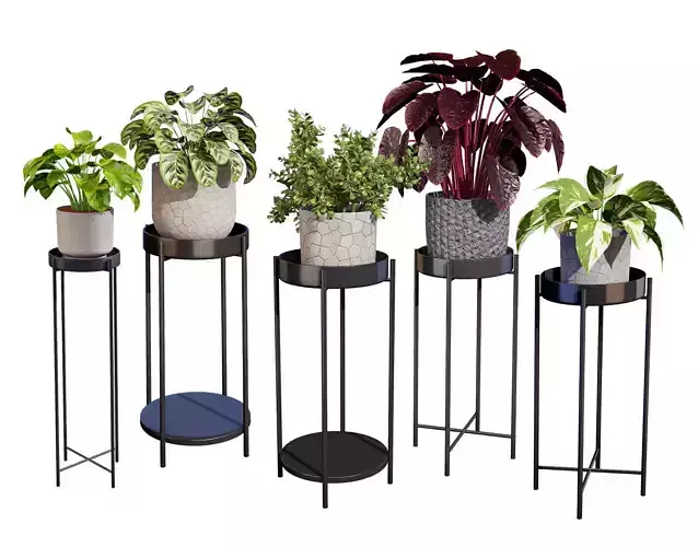 Indoor Plant 3D Models Low-poly 3D model