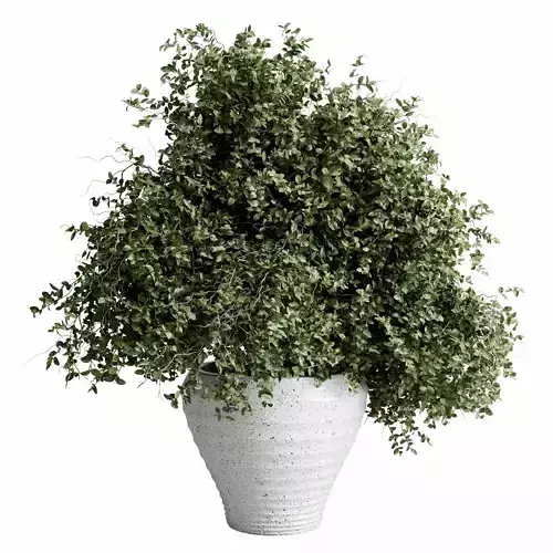 branches in a vase Bouquet 56