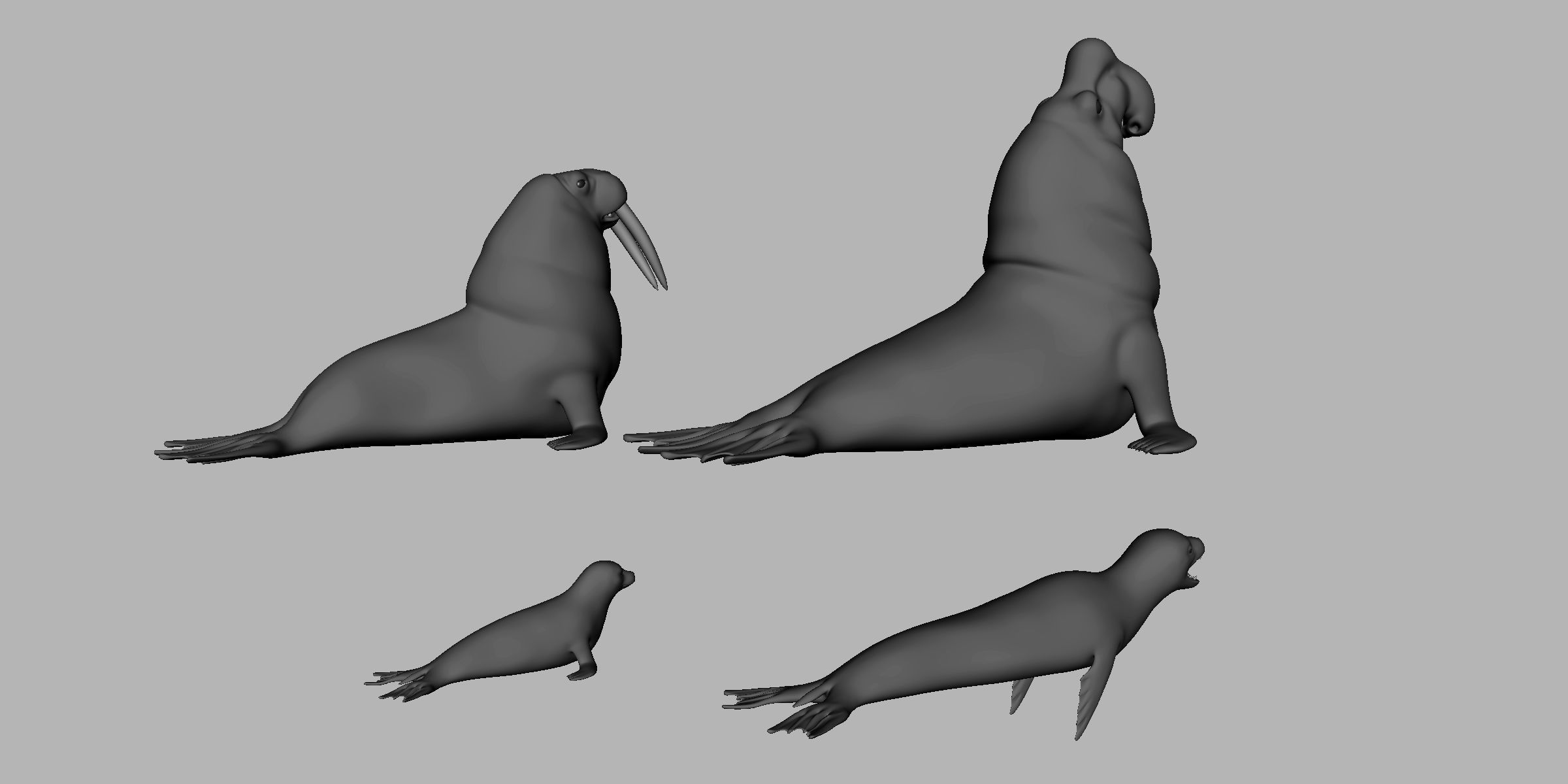 4Seal Pack  Low-poly 3D model_6