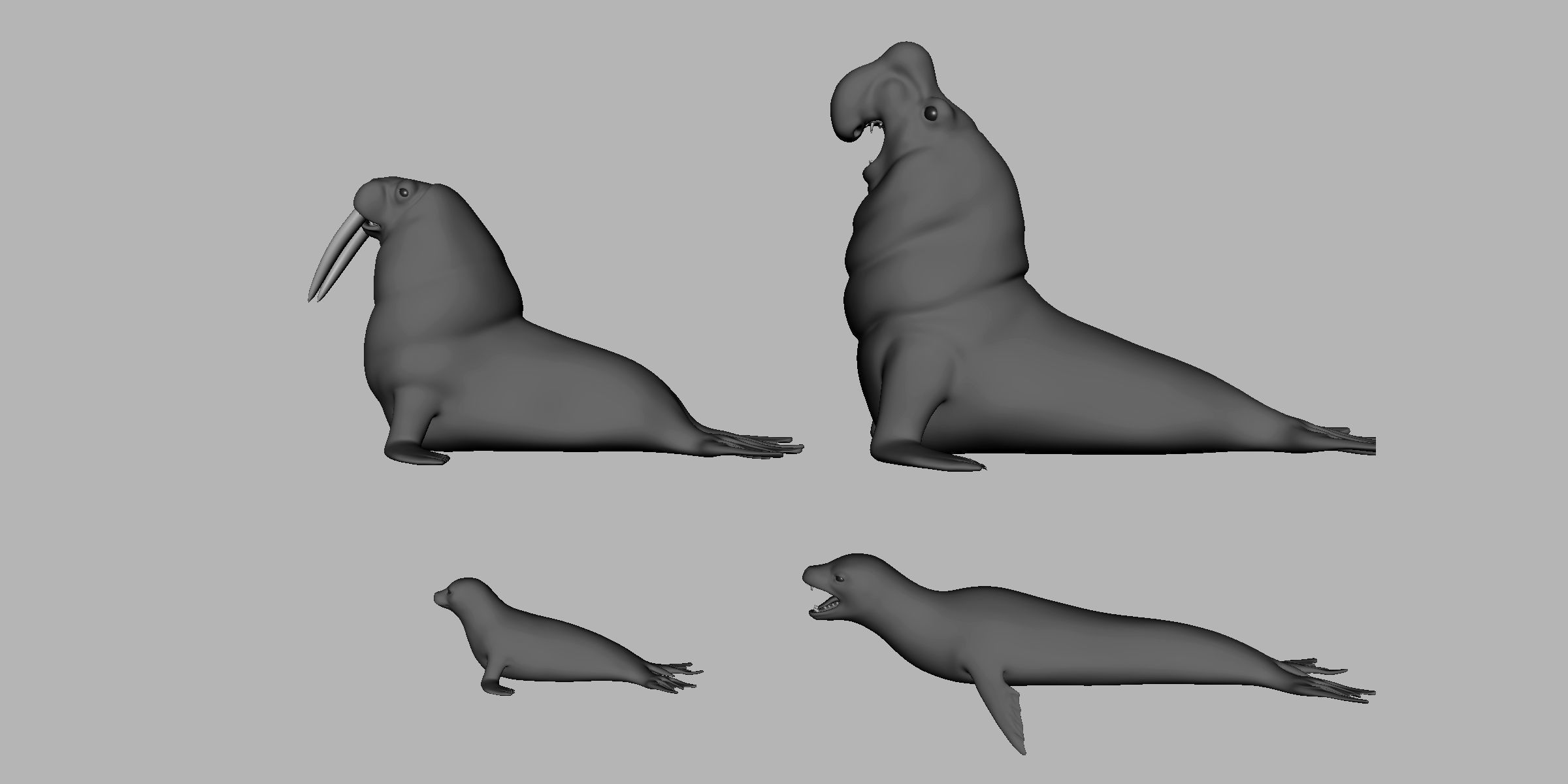 4Seal Pack  Low-poly 3D model_4