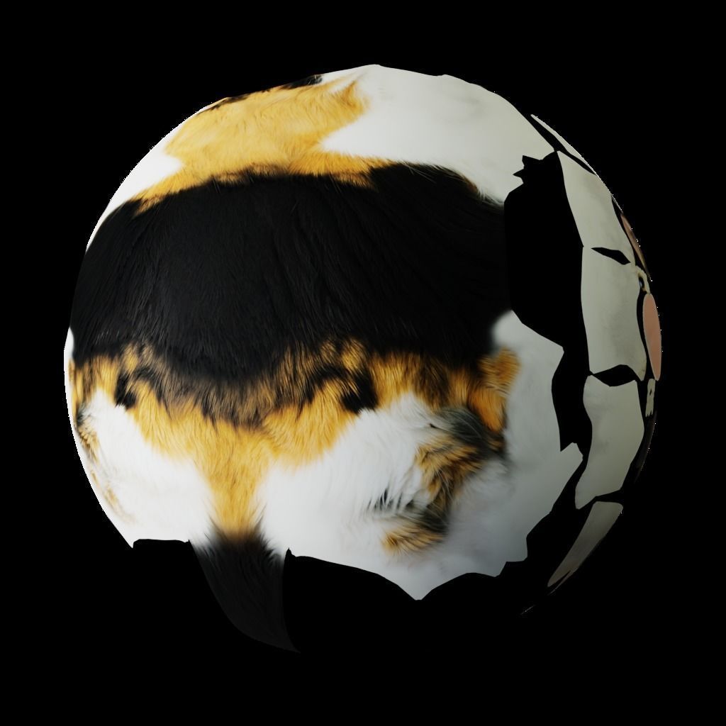 Calico Tricolor Cat Low-poly 3D model_4