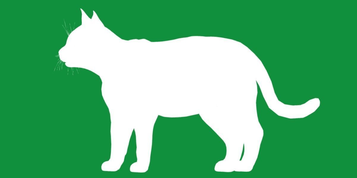 Calico Tricolor Cat Low-poly 3D model_28