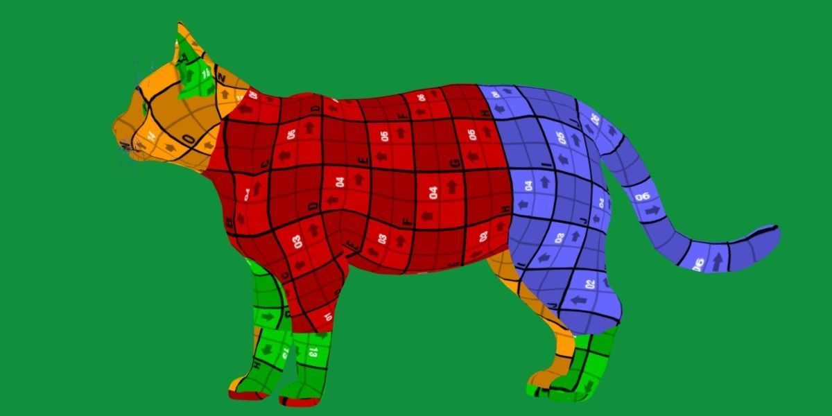 Calico Tricolor Cat Low-poly 3D model_18