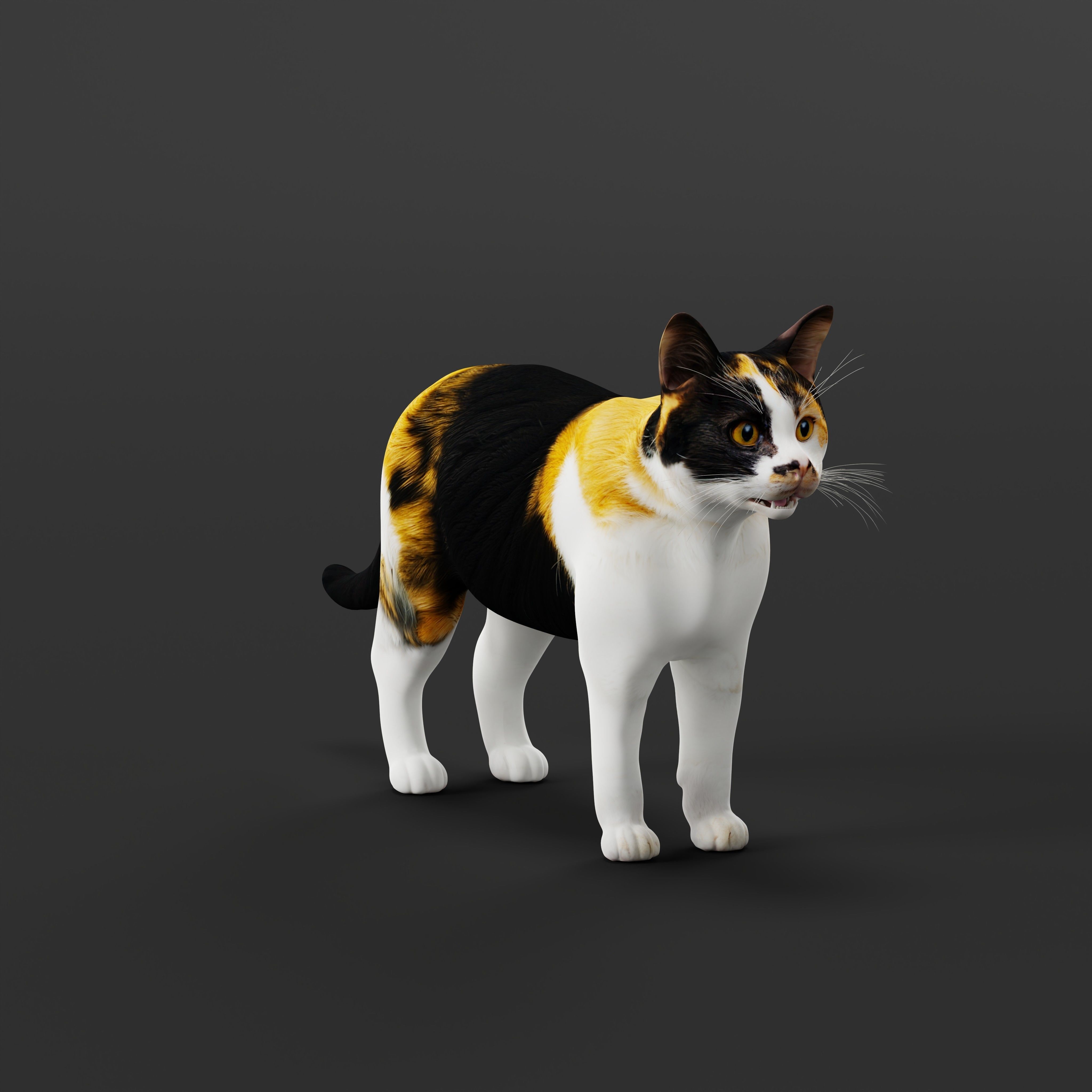 Calico Tricolor Cat Low-poly 3D model_31